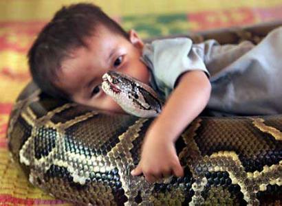 Three-year-old Cambodian boy Oeun Sambat hugs his best friend, a four-metre long female python named Chamreun